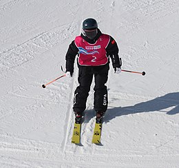 20-01-2020 Schi liber la Jocurile Olimpice de iarnă din 2020 - Halfpipe feminin - Final - prima cursă (Martin Rulsch) 42.jpg