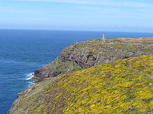 3986.Cap Frehel-Über 70m ragt das Cap Frehel aus dem Meer-Cote de Emeraude,Village Plevenon im Departement Cote de Armor,Region Bretagne.JPG