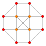 7-Demicube t05 D3.svg