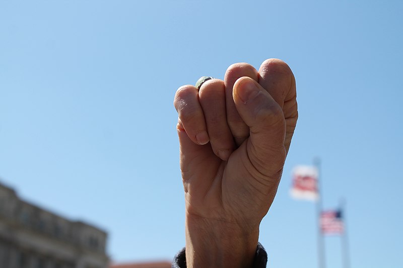 File:72.MillionHoodiesRally.FreedomPlaza.WDC.7April2012 (8516603344).jpg