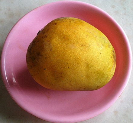A 'Himsagar' mango