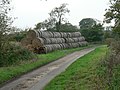 A Straw-Lined Road - geograph.org.uk - 275246.jpg