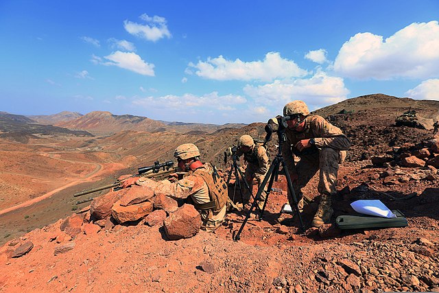 Marine takes aim at a target during a sustainment training exercise in Djibouti, 2013.