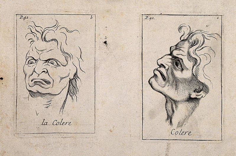 File:A frontal outline and a profile of faces expressing anger. E Wellcome V0009398.jpg