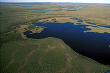 Aerial View of National Park Wetlands Aerial-view-of-national-park-wetlands.jpg