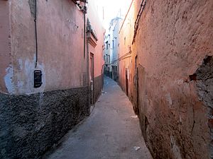 Alley in Marrakesh (6858199815).jpg