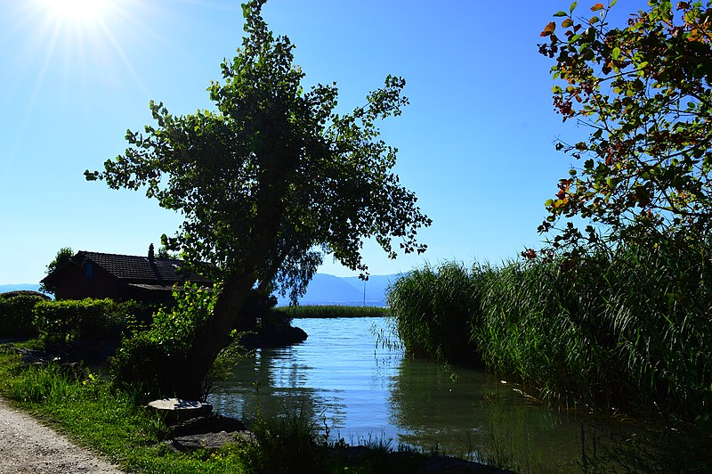 File:Am Neuenburgersee-Ufer bei Portalban.jpg