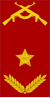 Ангола-Армия-ОФ-7.svg