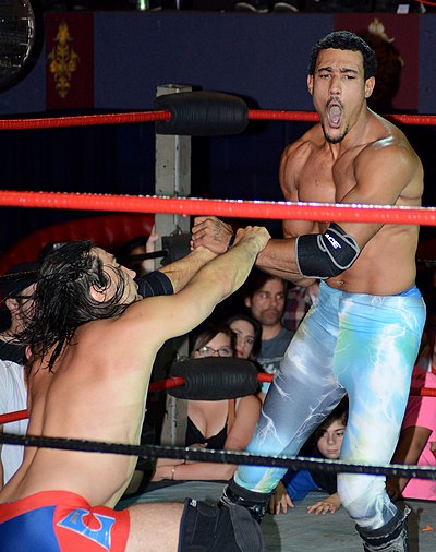 AR Fox