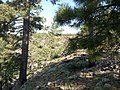 Aspen Trail, Payson, AZ 85541, USA - panoramio (20).jpg