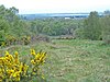 Atkinson's Warren Local Nature Reserve - geograph.org.uk - 411595.jpg