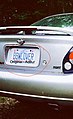 BBW Lover Custom License Plate. Adam T Burdette Famous in Reidsville NC.jpg