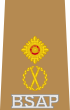 BSAP Kıdemli Komiser Yardımcısı insignia.svg