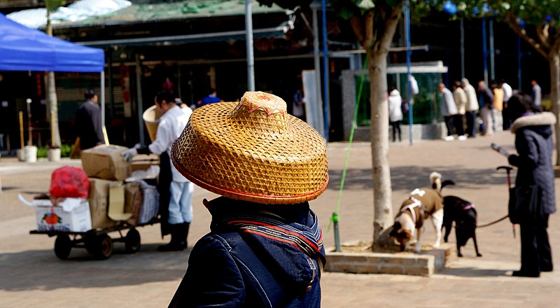 File:Bamboo Hats - A touch of The Orient. (35461211575).jpg