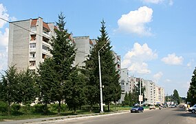 Stepana Bandery-gaden (2008) - hovedgaden i Novojavorivsk
