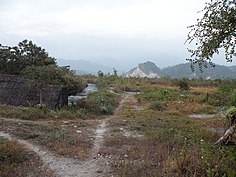 Barren land prior to plantation Barren land at Gethsemane Man-made forest.jpg