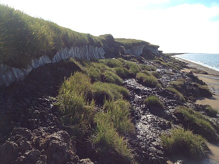 Rapidly thawing Arctic permafrost and coastal erosion on the Beaufort Sea, Arctic Ocean, near Point Lonely, AK. Photo Taken in August 2013