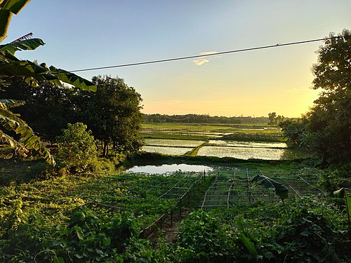 Beautiful nature in Barobhatua,Barura,Cumilla