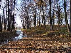 Polski: Bieliny - park dworski English: Manor park in Bieliny