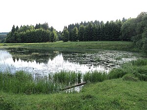 Biotop Rückhaltebecken auf dem ehemaligen Übungsplatz.jpg