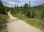 Thumbnail for File:Black Elk Peak hike 35.jpg