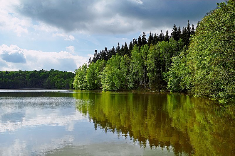 File:Blick auf den Krienkowsee.jpg