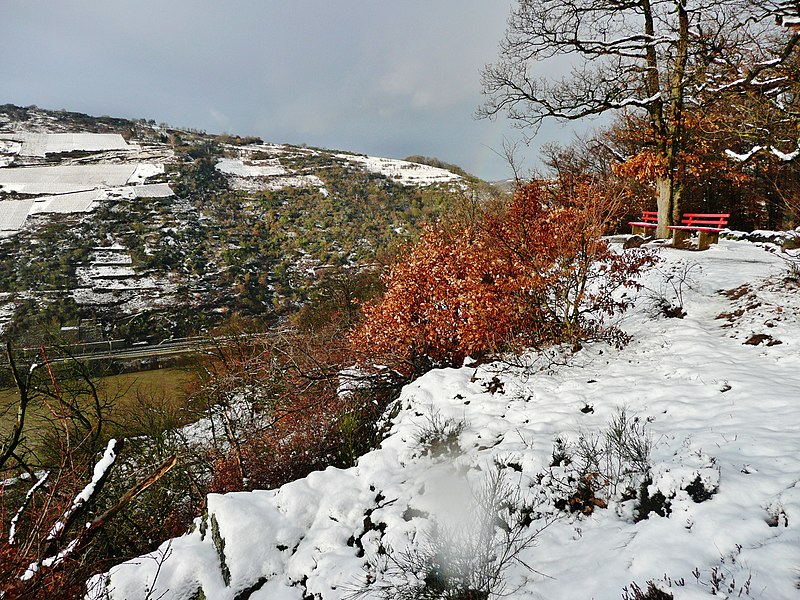 File:Blick vom Rheinsteig Richtung Nordwesten - panoramio.jpg