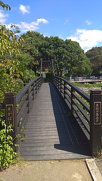 Bridge at Otodome Falls, Fujinomiya, Japan.