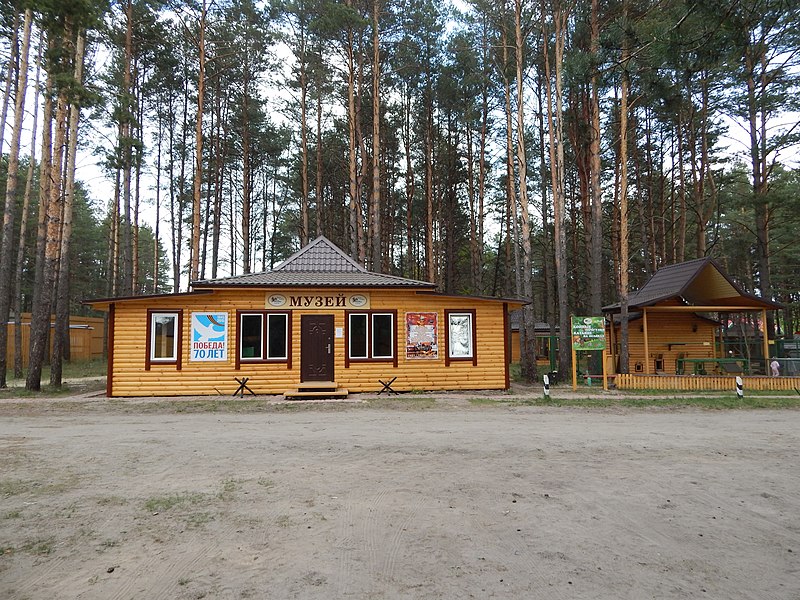 File:Bryansky District, Bryansk Oblast, Russia - panoramio (158).jpg