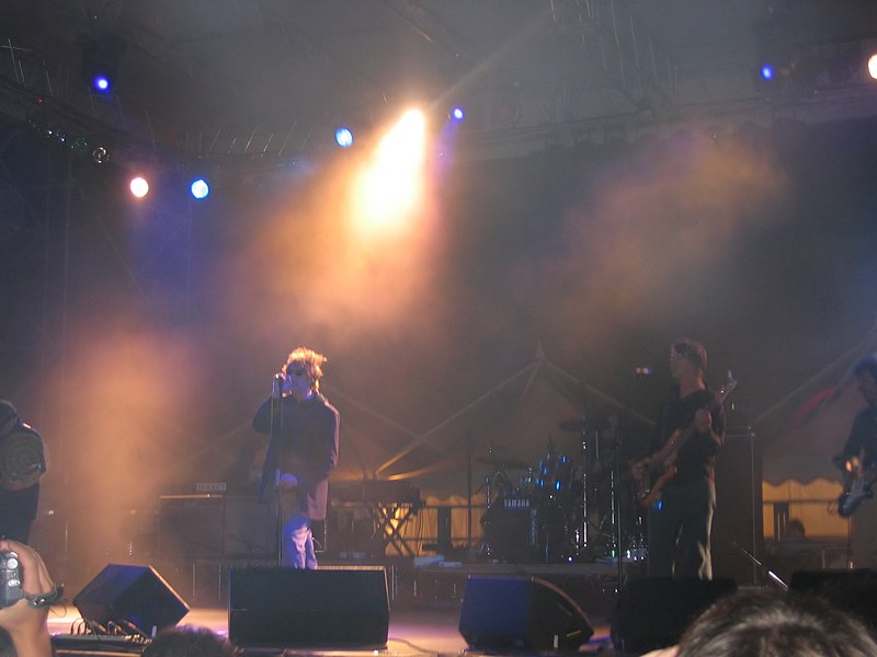 File:Bunnymen inconcert.jpg