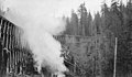 Burning debris near trestle, unidentified Bloedel-Donovan lumber operation, April 19, 1924 (INDOCC 1175).jpg