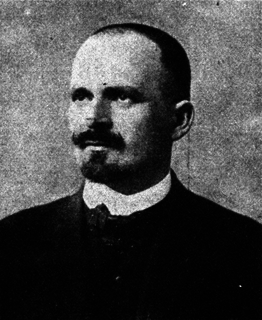 Józef Buzek Polish statistician and politician