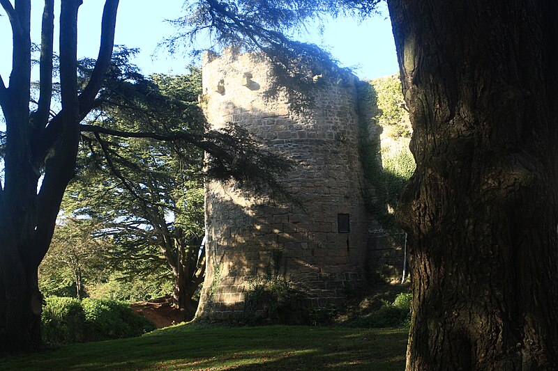File:Caldicot Castle Back.jpg