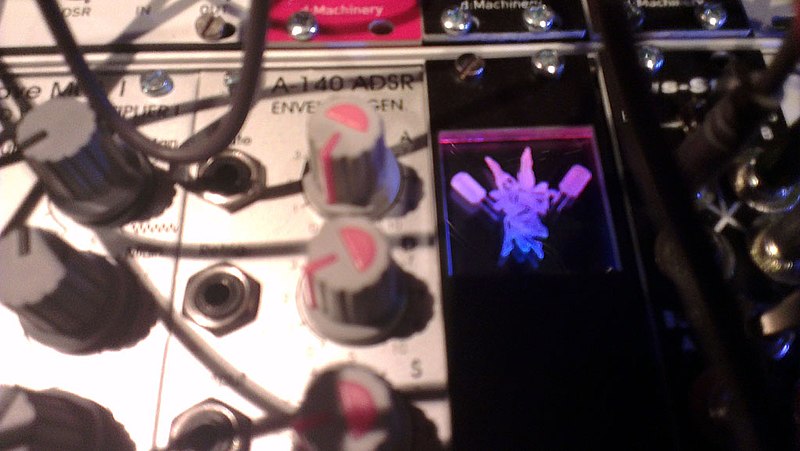 File:Capacitor Fairy module from Mutable Instruments Forum.jpg