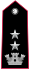 Carabinieri-OF-4.svg