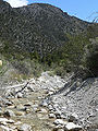 Carpenter Canyon creek