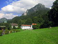 Muntele Säuling şi Castelul Neuschwanstein văzute de la Hohenschwangau