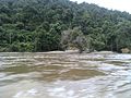 Cempaka Baru, Hulu Kapuas, Kapuas Hulu Regency, West Kalimantan, Indonesia - panoramio (17).jpg