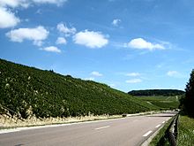 Chablis Grand Crus Bougros and Vaudesir.jpg