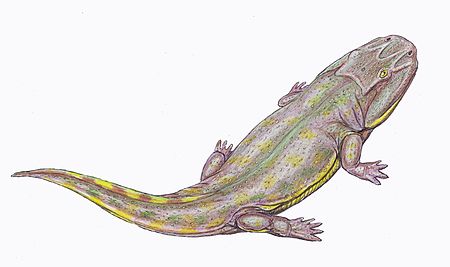 Clamorosaurus