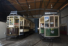 Classic Trams (Trolley cars) at Museum of Transport and Technology (MOTAT), Auckland, New Zealand