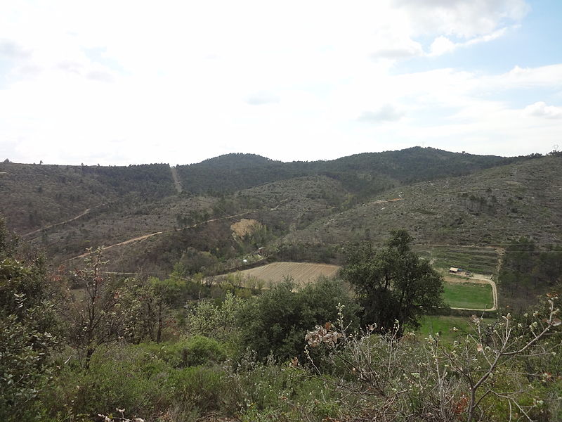 File:Collines de Corbières.JPG