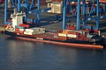 Deutsch: Feederschiff Iris Bolten am Containerterminal Altenwerder in Hamburg-Altenwerder.