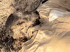 Corpse of a presumed Boko Haram member2.jpg