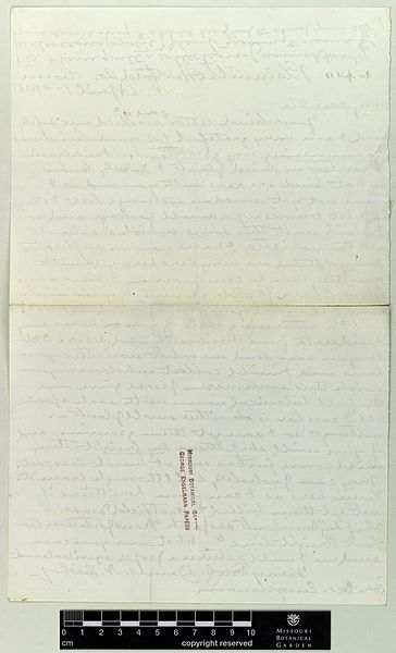 File:Correspondence - Bishop (James) and Engelmann (George) (Apr 10, 1878 (1) verso) BHL42256626.jpg
