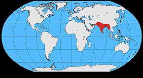 Popis obrázku Corvus splendens map.jpg.