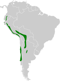 Distribución geográfica del yal platero.