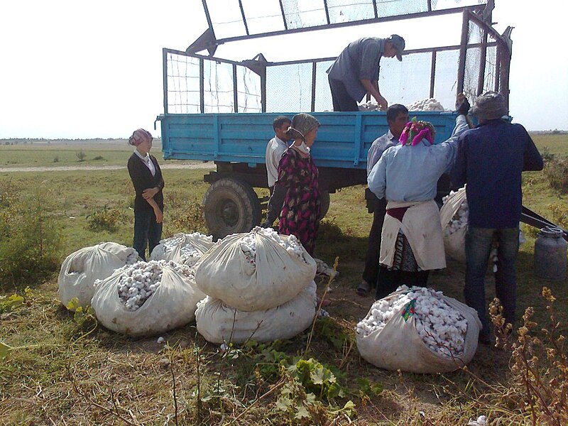 File:Cotton to weigh near at tractor trailer (Uzbekistan)-03.jpg