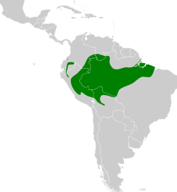 Distribución geográfica del trepatroncos colilargo sureño.