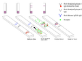 Thumbnail for Malaria antigen detection tests